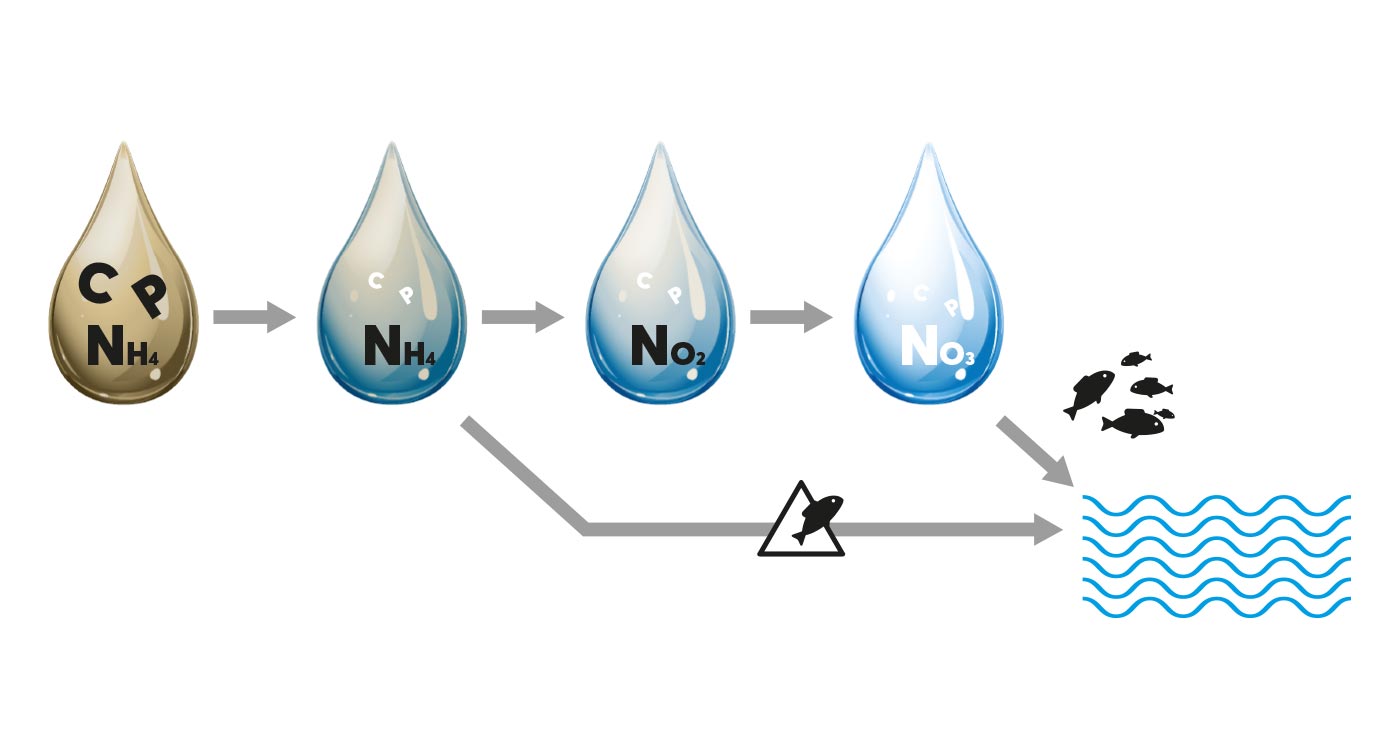 Comprendre la nitrification et éliminer l'azote dans l'assainissement